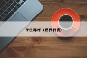 冬世界杯（世界杯赛）