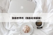 张路世界杯（张路足球盛宴）