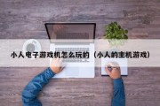 小人电子游戏机怎么玩的（小人的主机游戏）