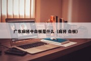 广东麻将中白板是什么（麻将 白板）