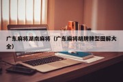 广东麻将湖南麻将（广东麻将胡牌牌型图解大全）
