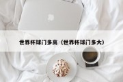 世界杯球门多高（世界杯球门多大）
