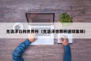 克洛泽日韩世界杯（克洛泽世界杯进球集锦）