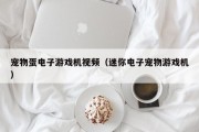 宠物蛋电子游戏机视频（迷你电子宠物游戏机）