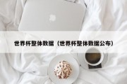 世界杯整体数据（世界杯整体数据公布）