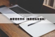 弗雷德世界杯（弗雷德加盟曼联）