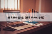 世界杯小组b组（世界杯2022小组）