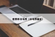 世界杯卡马乔（卡马乔国足）