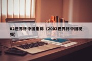 02世界杯中国集锦（2002世界杯中国视频）