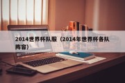 2014世界杯队服（2014年世界杯各队阵容）