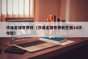 沙滩足球世界杯（沙滩足球世界杯巴西14次夺冠）