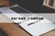 专业广东麻将（广东麻将功略）